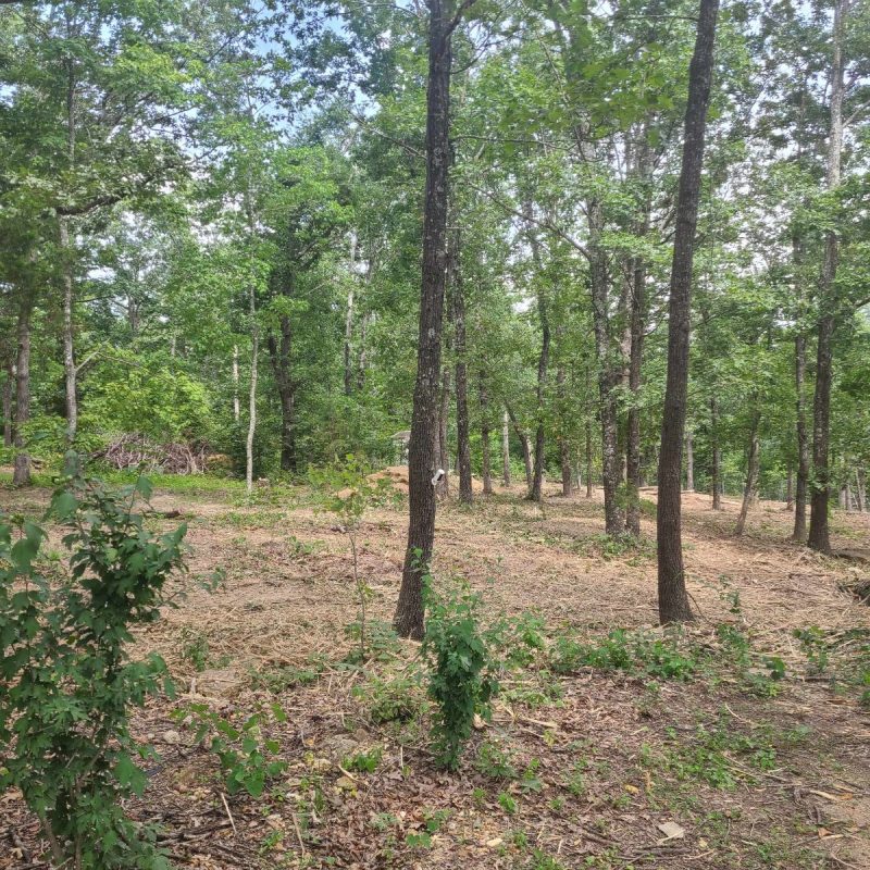 J & D Forestry Services99